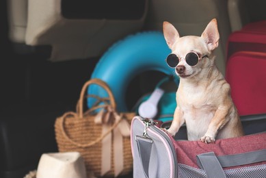 portrait of brown short hair chihuahua dog wearing sunglasses standing in traveler pet carrier bag in car trunk with travel accessories, ready to travel. safe travel with animals.