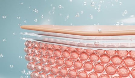 water and vitamin drop on skin cell. 
concept cosmetics solution.serum through the skin layer and reduce up saggy skin of the skin cell. 3d rendering.