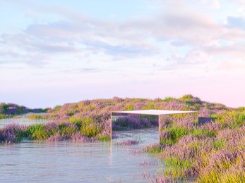 natural beauty podium backdrop with lavender field. 3d rendering. 