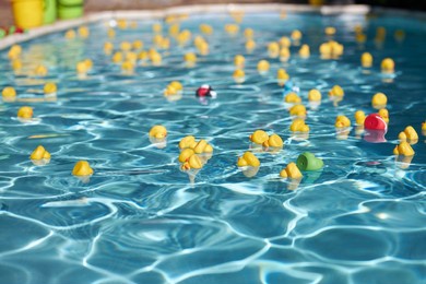 a lot of rubber ducks in the pool. rubber ducks. entertainment