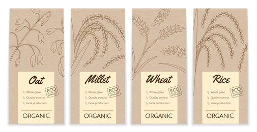 farm food package. craft label with rice, millet and oat. wheat grain. paper tag with buckwheat for organic kernel products. plant branches and seeds. vector background templates set