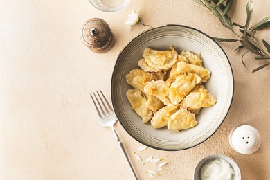 homemade pierogi or vareniki, stuffed dumplings.  traditional ukrainian and polish food are made from dough with different fillings.  top view, space for text 