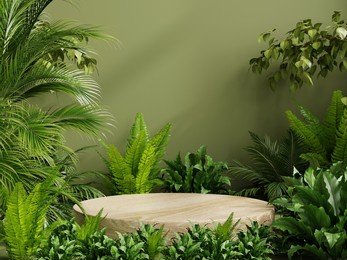 circle wood pedestal in tropical forest for product presentation and green wall.3d rendering