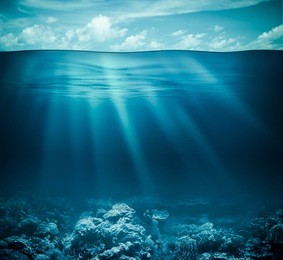 underwater coral reef seabed and water surface with sky
