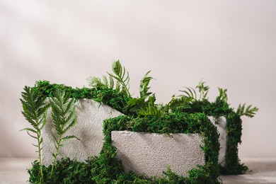concrete podium surrounded by moss and green plants for branding. textured stones on beige background for the presentation of eco, organic, natural cosmetics