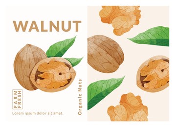 longan fruit packaging design templates, watercolour style vector illustration.