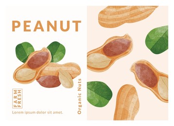 peanut or groundnut packaging design templates, watercolour style vector illustration.