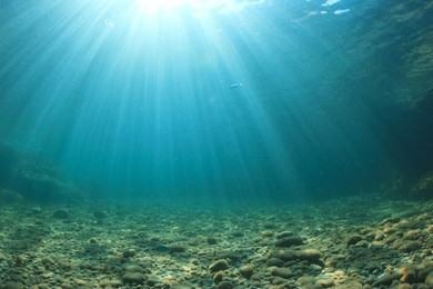 underwater