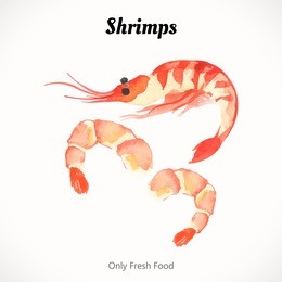watercolor shrimp. sea food fresh. handmade painting