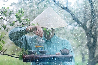 tea ceremony china spring green tea, nature herbal