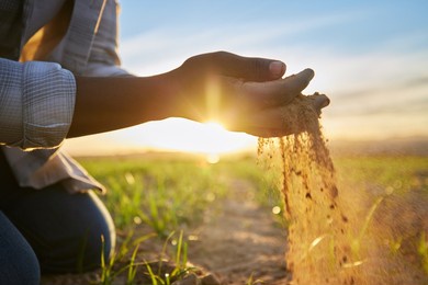 proud of my produce. cropped shot of a farmer holding soil.