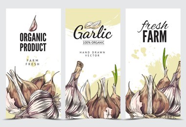 organic garlic fresh farm product advertising banners set, hand drawn sketch style vector illustration. badges or labels for garlic packaging and promo banners.