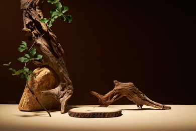 front view of branch tree decorated with rock and green leaf blank space in brown background 