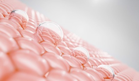 water and vitamin drop on skin cell. 
concept cosmetics solution.serum through the skin layer and reduce up saggy skin of the skin cell. 3d rendering. 