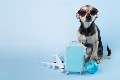 flights with a dog, travel with a pet, international transportation of animals,toy terrier in sunglasses with a luggage suitcase and an airplane on a blue background, copy space
