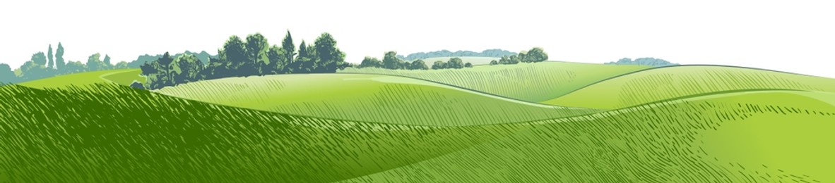 green grass field hills. meadow, alkali, lye, grassland, pommel, lea, pasturage, farm. rural scenery landscape panorama of countryside pastures. vector watercolor realistic illustration