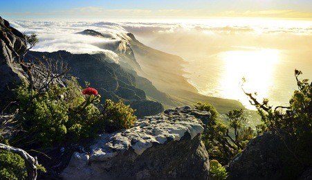 beautiful table mountain covered in clouds at sunset