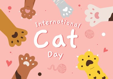 fluffy multicolored cats paws collection. lovely pets with hands.cat paws wallpaper, legs. prints, cartoon, cute cat foot wallpaper vector illustration.kitten flat design