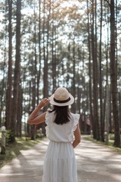 happy woman in white dress and hat traveling in pine tree forest, tourist visit at doi bo luang, chiang mai, thailand, landmark and popular for tourist attractions. vacation and journey concept