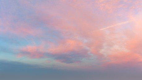 very gentle romantic pink clouds in the dawn sky. tender mood sunrise sundown sunset sky panoramic image