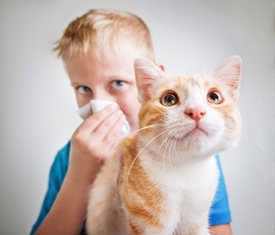 a boy with a red cat, allergy