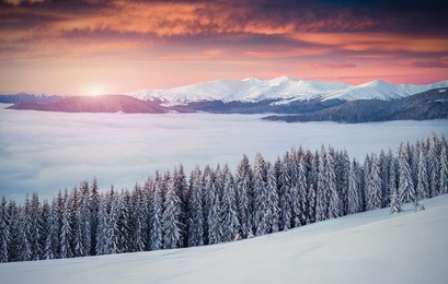 colorful winter sunrise in the mountains. mountain valley pozharska, carpathian, ukraine, europe.