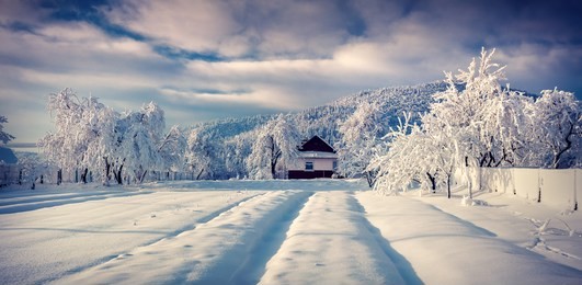 sunny winter landscape in the mountain village