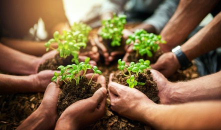 teamwork and growth with plants in the hands of a group or team of eco people for agriculture and collaboration in a green business. diverse people holding growing sprouts in a startup company