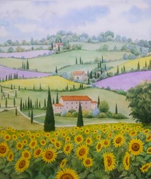 hand drawn watercolor painting of sunflower and lavender fields. landscape painting with blooming sunflower, house, agricultural land, hills,lavender farm, cypress trees, grass and blue sky for print