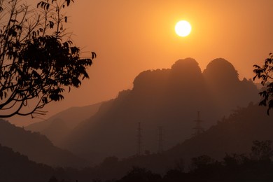 flowers and leaves at hoa binh private farm, vietnam