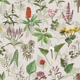 floral seamless pattern, different swamp plants 