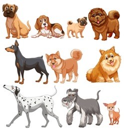 illustration of different kind of dogs