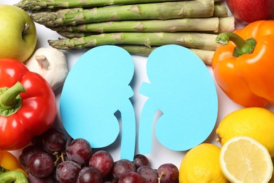 paper cutout of kidneys and different healthy products on white background, flat lay