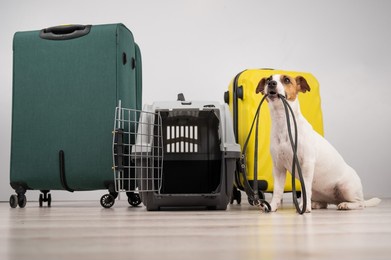 jack russell terrier dog holding a leash while sitting near suitcases and travel box. ready for vacation.