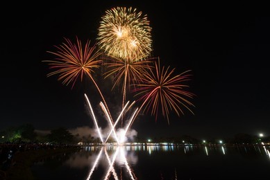 amazing beautiful firework on black background for celebration anniversary merry christmas eve and happy new year.