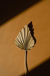 elegant aesthetic dried fan leaf with sunlight shadows on warm orange background with copy space. boho stylish still life flower composition