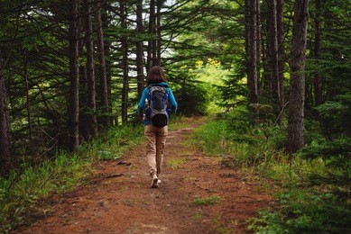 hiker woman with backpack walking on path in summer forest, rear view