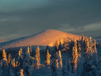 amazing bright contrasting light of the setting sun on the polar hill.beautiful sunny polar mountain with dark evening sky. copper hill. sunset in the winter mountains.