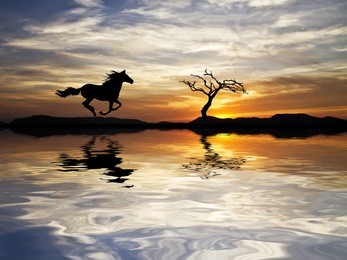 running down the mountain