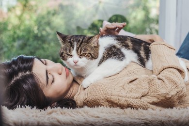 fluffy scotish fold cat lay on woman chest, playing together, loving each other between woman and pet.