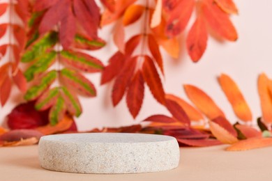 autumn podium made of natural stone and autumn foliage. the showcase for the presentation of goods and cosmetics is made of wood on a beige background. minimalistic branding scene