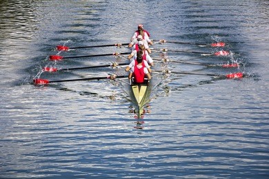 rowers in eight-oar rowing boats on the tranquil lake
