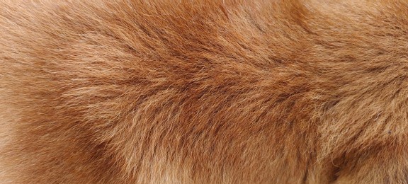 brawn fur texture with short smooth patterns, animal hair background. fur texture close-up background fur textured background.