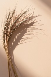 wheat ears with shadows on a cream-coloured card background. copy space. vertical photo.