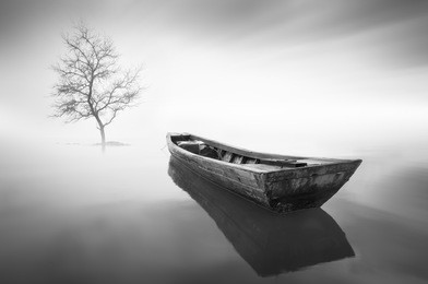 long exposure the boat and single tree during haze .