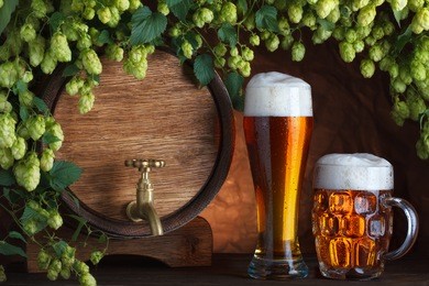 beer glasses and beer barrel with fresh hops cones still-life