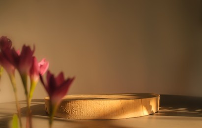 natural product display stand, real wood product display stand, with copy space for displaying product design on blurry carpet floor, website ad banner, natural looking, 