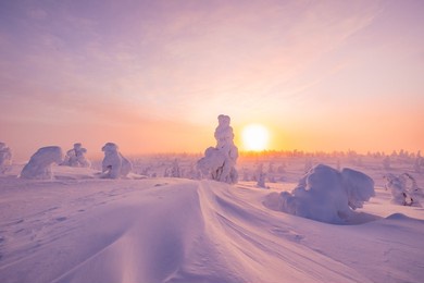 riisitunturi national park at sunset in winter, finnish lapland