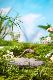 front view of the stone podium showcases products in a garden with flowers, plants, and branches. empty platform.
