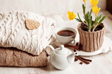 cup of hot drink, knitting clothes, cinnamon and flowers. winter mood